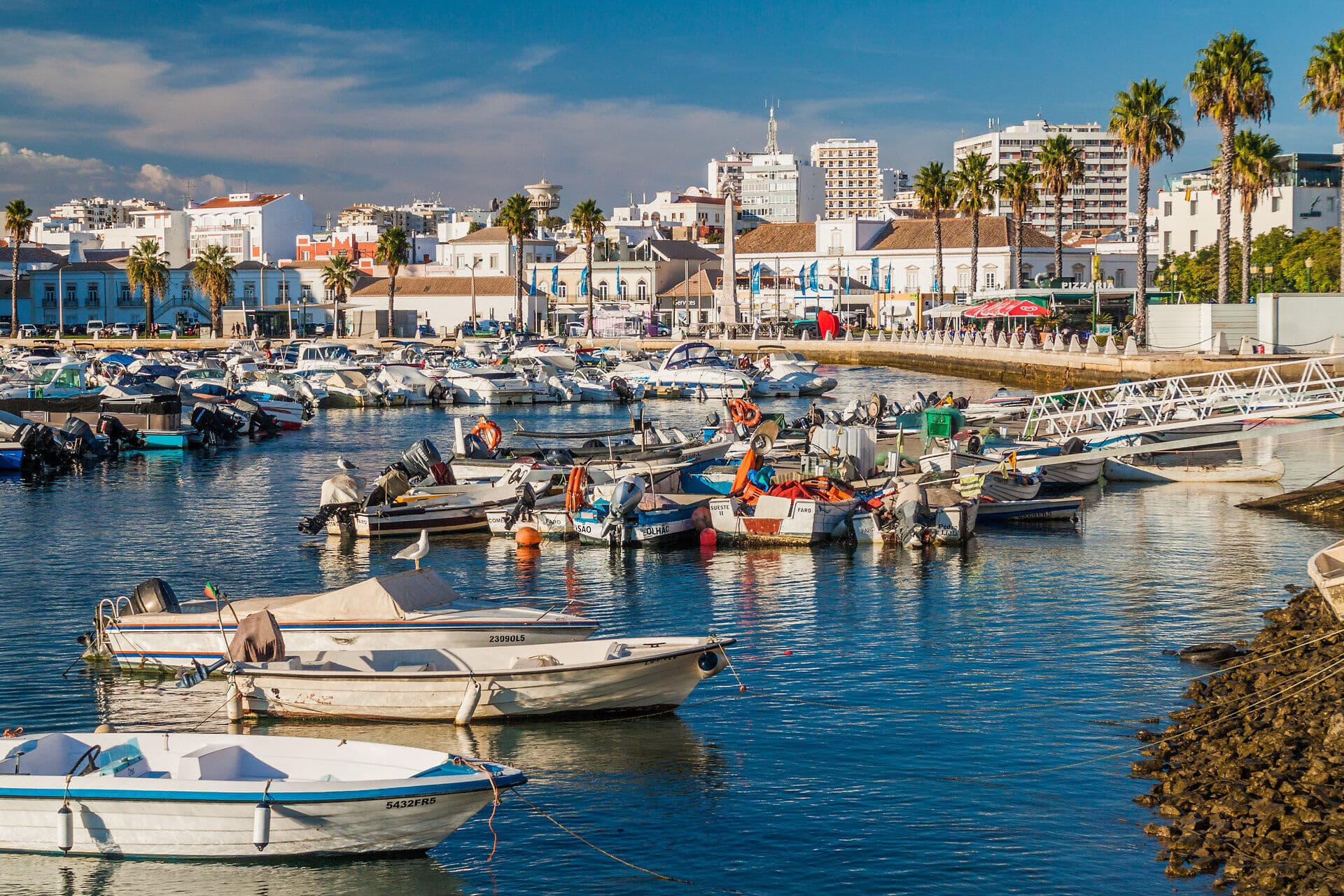 Faro